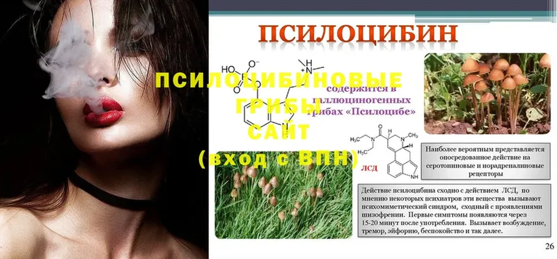 Галлюциногенные грибы Psilocybine cubensis  Краснотурьинск 